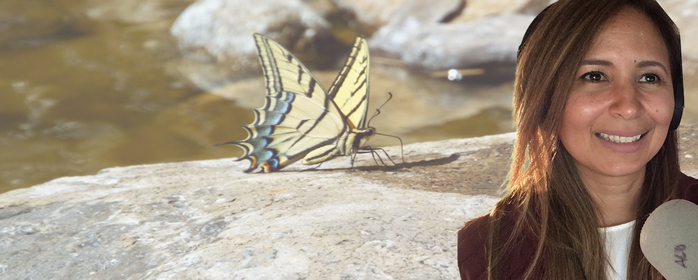 Ayleen López portfolio banner showing a butterfly and portrait